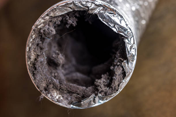 Best Best Air Duct Cleaning Near Me  in Union Mill, VA