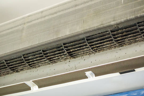 Best Ventilation Cleaning Services  in Union Mill, VA